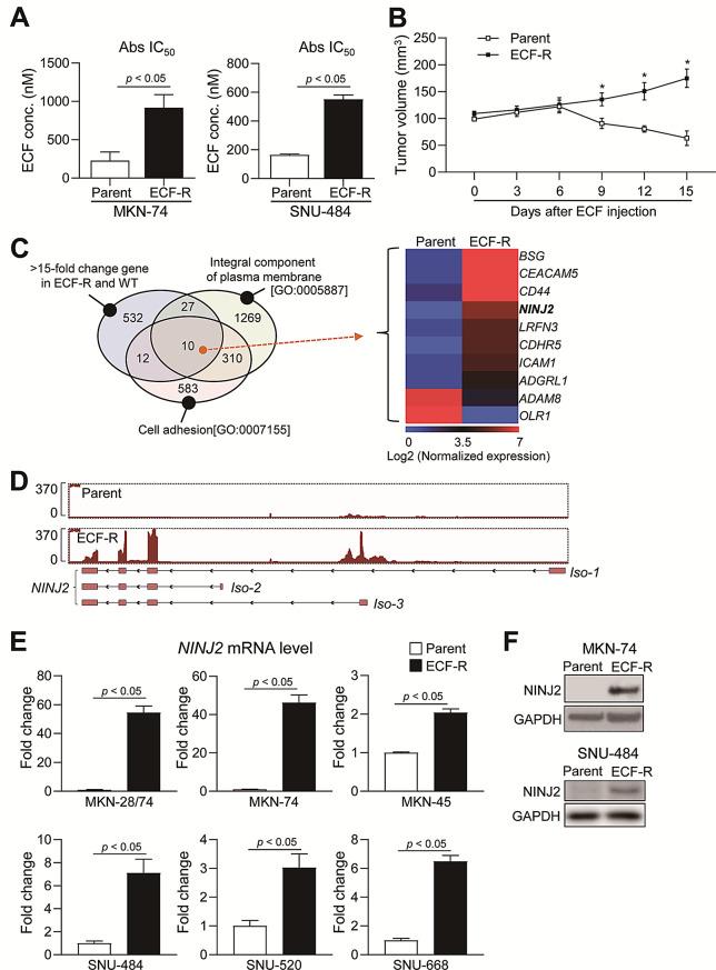 https://cdn.ncbi.nlm.nih.gov/pmc/blobs/4282/12168268/3ba55528a295/40364_2025_792_Fig1_HTML.jpg