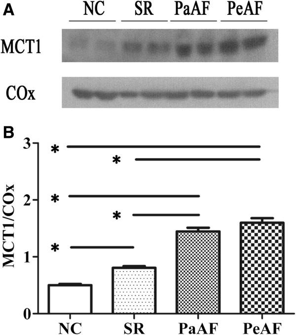 https://cdn.ncbi.nlm.nih.gov/pmc/blobs/4282/3599862/7d478df18e18/1749-8090-8-34-2.jpg