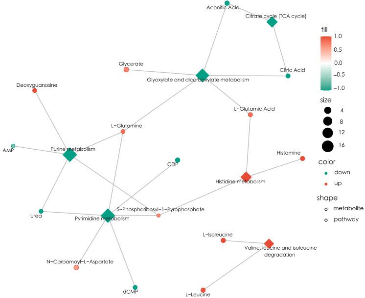 https://cdn.ncbi.nlm.nih.gov/pmc/blobs/4283/12063607/99354e4c96a1/peerj-13-19399-g005.jpg