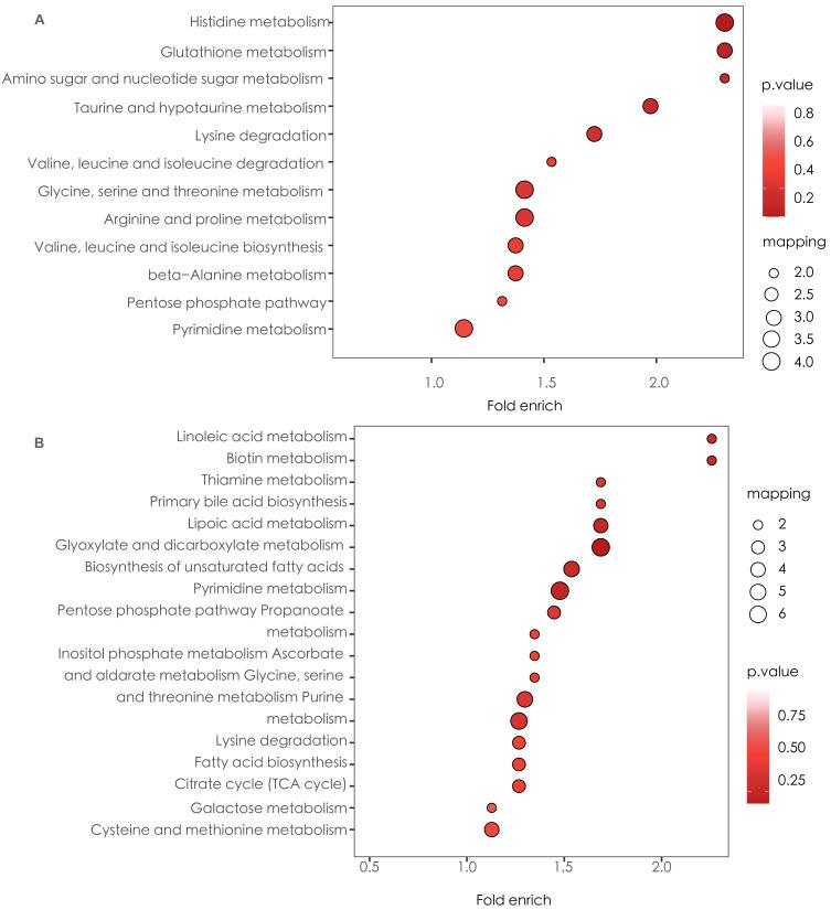 https://cdn.ncbi.nlm.nih.gov/pmc/blobs/4283/12063607/c734249b67f1/peerj-13-19399-g006.jpg