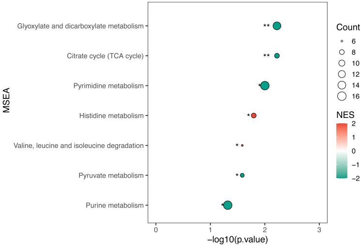 https://cdn.ncbi.nlm.nih.gov/pmc/blobs/4283/12063607/ef93fc80cc13/peerj-13-19399-g004.jpg