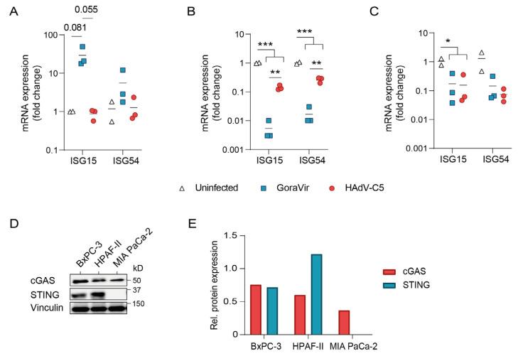https://cdn.ncbi.nlm.nih.gov/pmc/blobs/4283/9959036/076fd2d8671d/viruses-15-00283-g004.jpg
