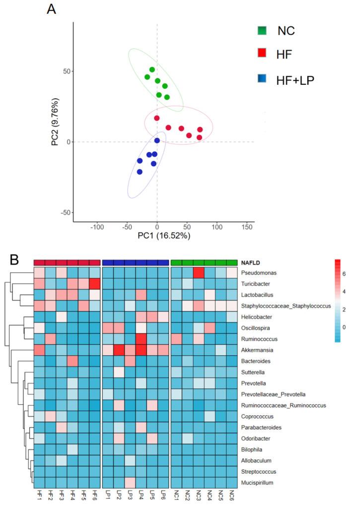 https://cdn.ncbi.nlm.nih.gov/pmc/blobs/4285/10222591/8211926ae5ce/molecules-28-04042-g004.jpg