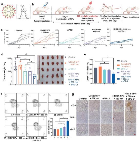 https://cdn.ncbi.nlm.nih.gov/pmc/blobs/4287/11468986/0b0c5b861625/ADHM-12-2300994-g004.jpg