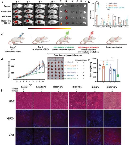 https://cdn.ncbi.nlm.nih.gov/pmc/blobs/4287/11468986/4a1e017f648b/ADHM-12-2300994-g002.jpg