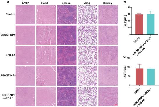 https://cdn.ncbi.nlm.nih.gov/pmc/blobs/4287/11468986/c1b1dce83de9/ADHM-12-2300994-g001.jpg