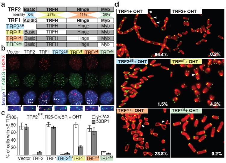 https://cdn.ncbi.nlm.nih.gov/pmc/blobs/4288/3733551/38a1ab43a39b/nihms431153f1.jpg