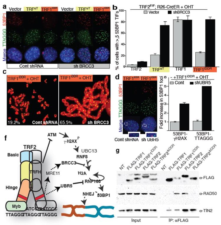 https://cdn.ncbi.nlm.nih.gov/pmc/blobs/4288/3733551/c449b1299189/nihms431153f4.jpg
