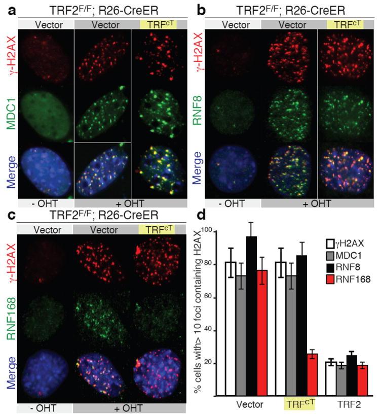 https://cdn.ncbi.nlm.nih.gov/pmc/blobs/4288/3733551/c456126288a7/nihms431153f2.jpg