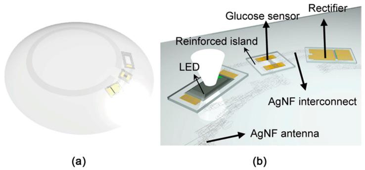 https://cdn.ncbi.nlm.nih.gov/pmc/blobs/4288/7349305/dd3fbdda2d07/sensors-20-03551-g008.jpg