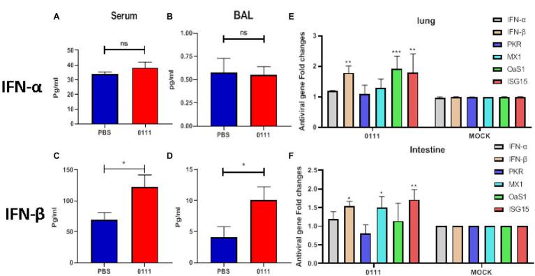 https://cdn.ncbi.nlm.nih.gov/pmc/blobs/4288/9282045/1c080aec9dac/fmicb-13-820484-g006.jpg