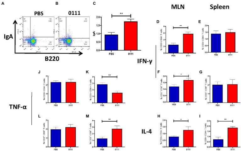 https://cdn.ncbi.nlm.nih.gov/pmc/blobs/4288/9282045/b9cd89212325/fmicb-13-820484-g007.jpg