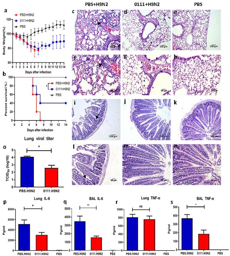 https://cdn.ncbi.nlm.nih.gov/pmc/blobs/4288/9282045/bf495374a8db/fmicb-13-820484-g001.jpg