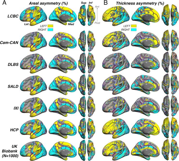 https://cdn.ncbi.nlm.nih.gov/pmc/blobs/4289/10368427/f140cf07596e/elife-84685-fig1-figsupp1.jpg