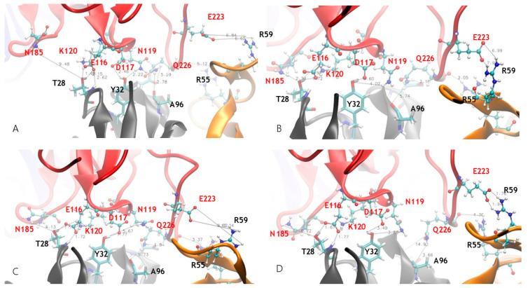 https://cdn.ncbi.nlm.nih.gov/pmc/blobs/4289/10525649/0a0f595120a6/antibodies-12-00058-g002.jpg