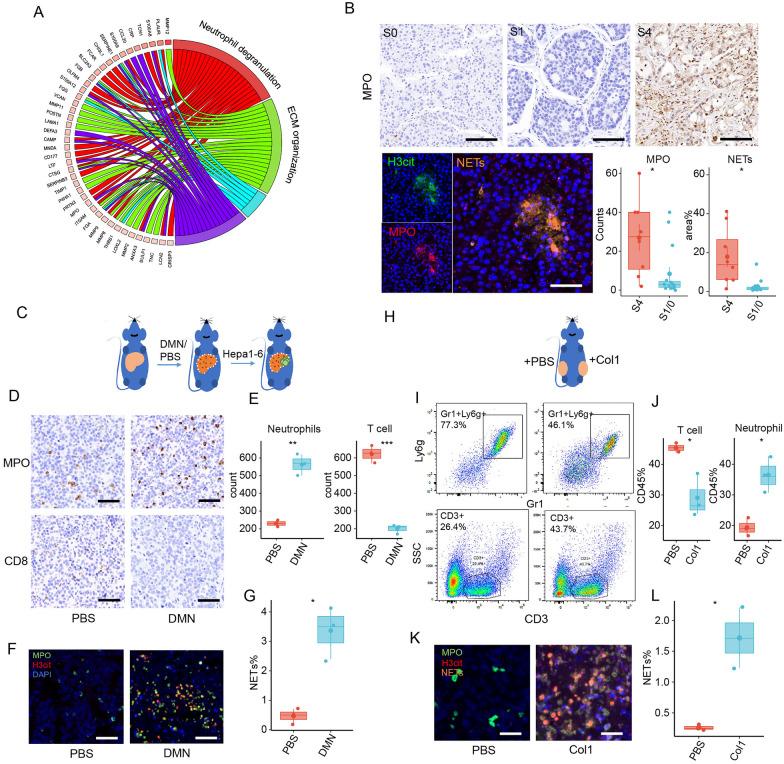 https://cdn.ncbi.nlm.nih.gov/pmc/blobs/4289/10882882/4f23844d2183/40164_2024_476_Fig3_HTML.jpg