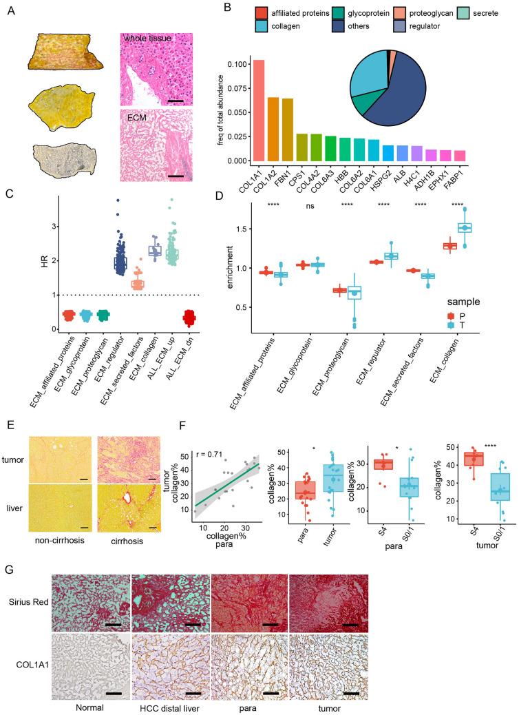 https://cdn.ncbi.nlm.nih.gov/pmc/blobs/4289/10882882/caeb520677b2/40164_2024_476_Fig1_HTML.jpg