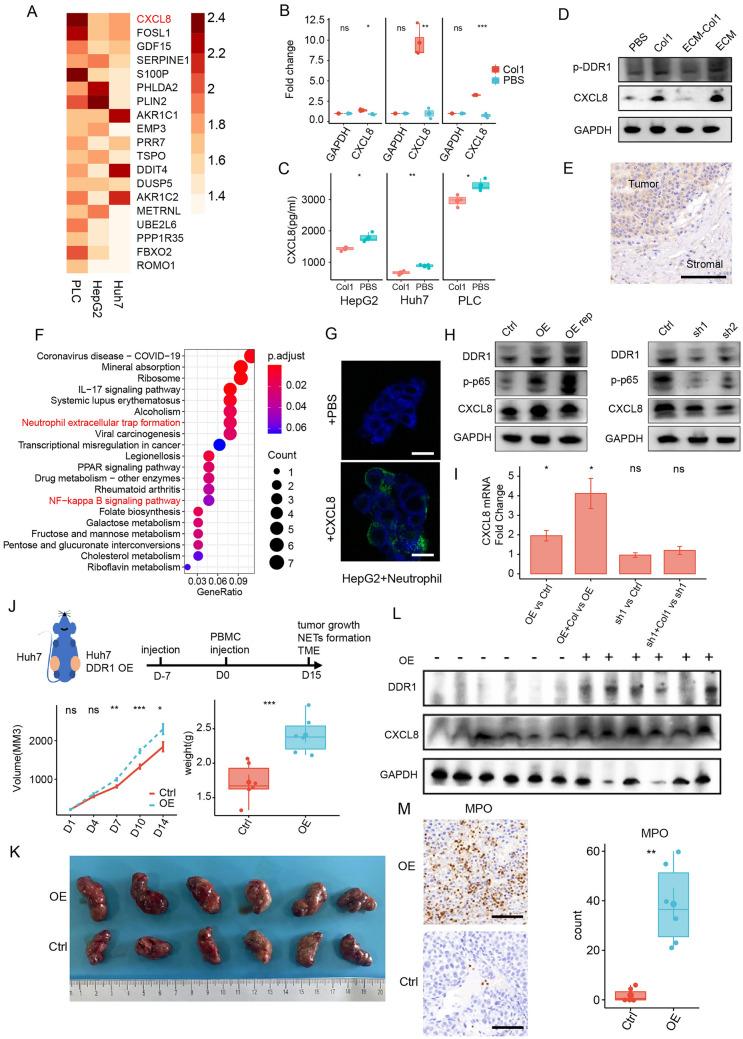 https://cdn.ncbi.nlm.nih.gov/pmc/blobs/4289/10882882/fcb31879d248/40164_2024_476_Fig5_HTML.jpg