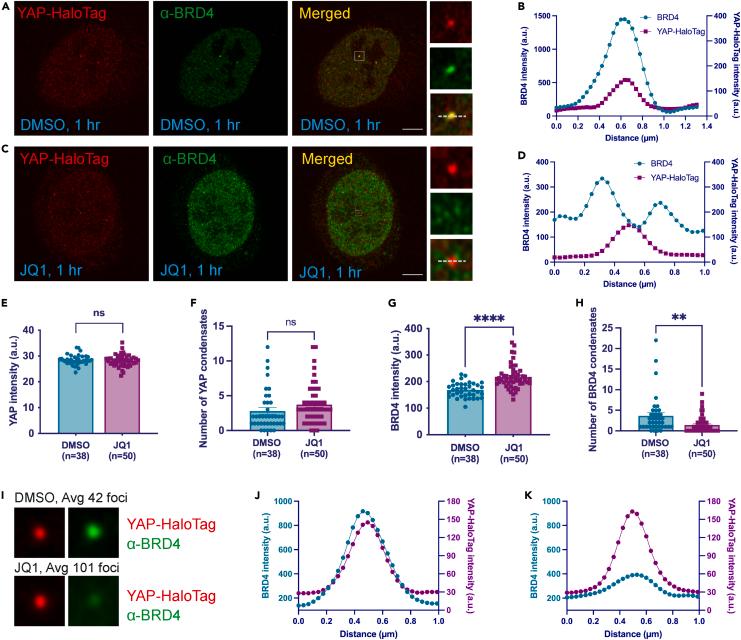 https://cdn.ncbi.nlm.nih.gov/pmc/blobs/428a/11111833/143af13312ad/gr3.jpg