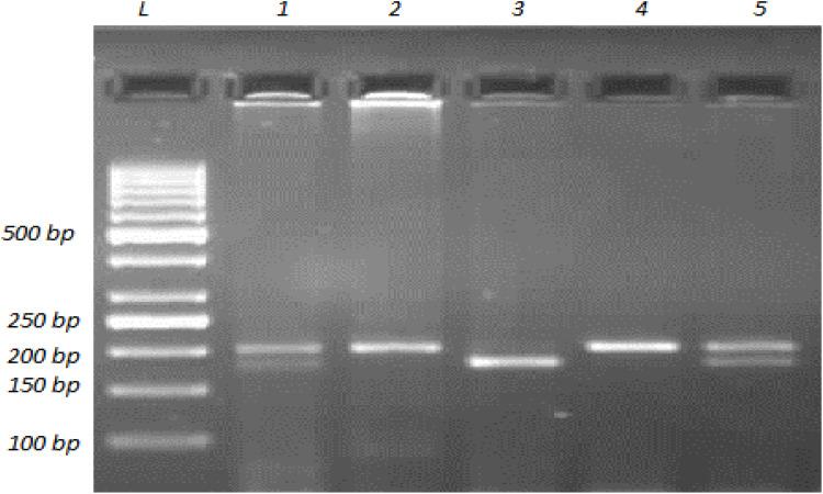 https://cdn.ncbi.nlm.nih.gov/pmc/blobs/428b/8114577/bc92628815ab/NDT-16-3251-g0001.jpg