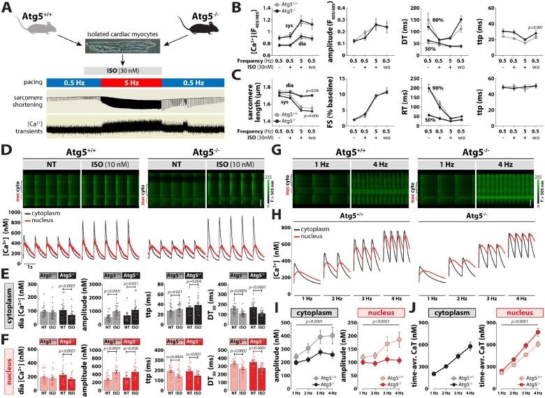 https://cdn.ncbi.nlm.nih.gov/pmc/blobs/428b/9074988/08b36e0b43cc/cvab112f3.jpg