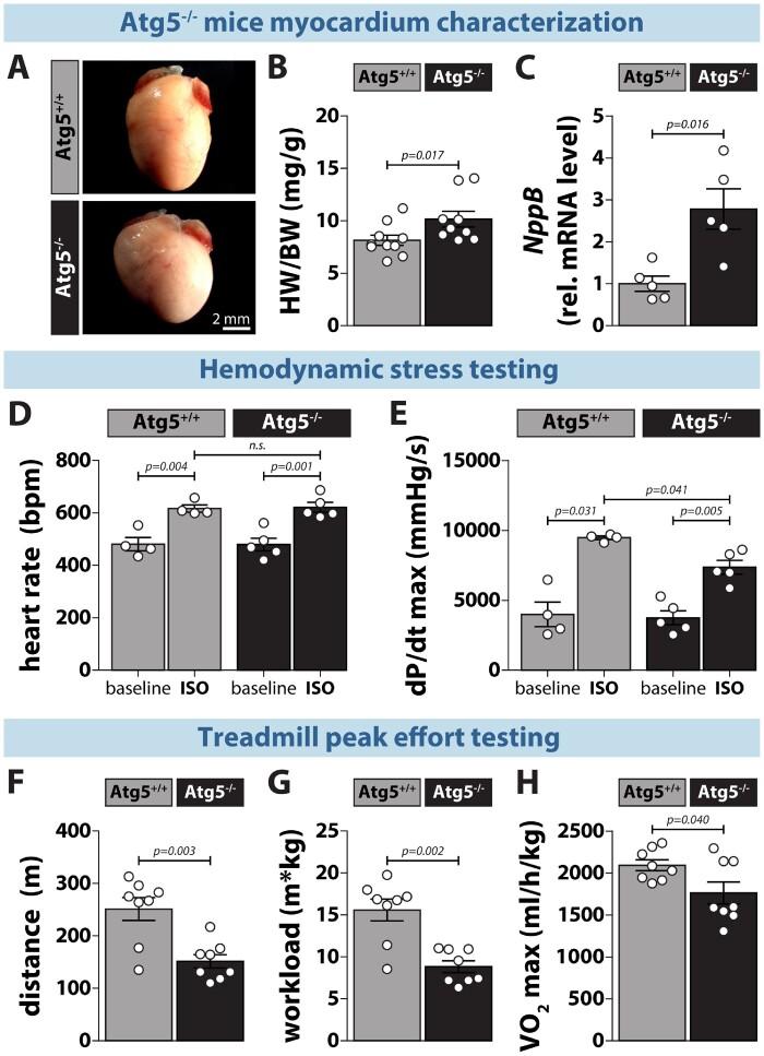 https://cdn.ncbi.nlm.nih.gov/pmc/blobs/428b/9074988/4c17e5b1dc78/cvab112f2.jpg