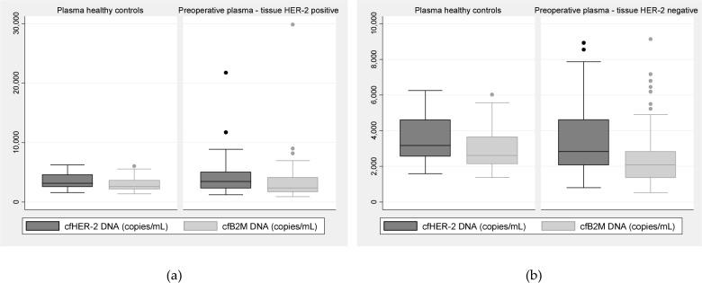 https://cdn.ncbi.nlm.nih.gov/pmc/blobs/428c/5572987/c88be1f86b08/10.5772_61320-fig2.jpg
