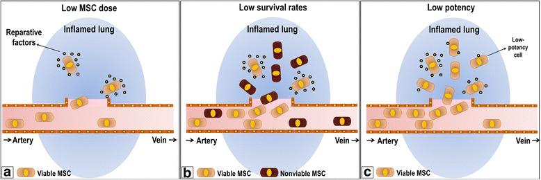 https://cdn.ncbi.nlm.nih.gov/pmc/blobs/428d/5828113/ad199eabcb37/13287_2018_802_Fig1_HTML.jpg