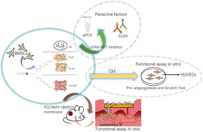 https://cdn.ncbi.nlm.nih.gov/pmc/blobs/428d/9080129/d7790f9db830/13287_2022_2865_Fig1_HTML.jpg