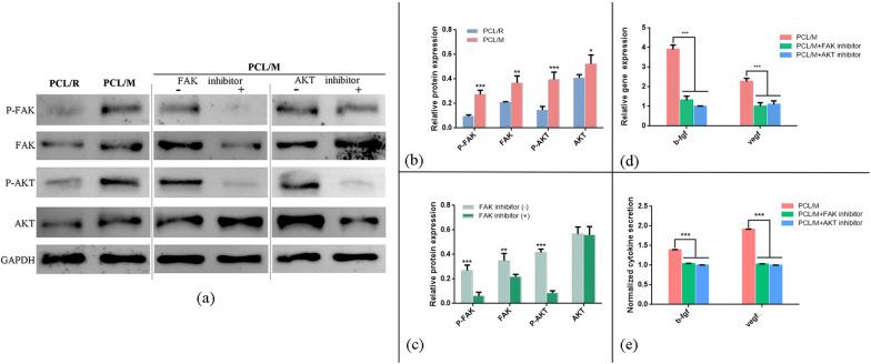 https://cdn.ncbi.nlm.nih.gov/pmc/blobs/428d/9080129/f3808515b4e7/13287_2022_2865_Fig6_HTML.jpg