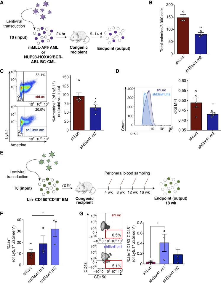 https://cdn.ncbi.nlm.nih.gov/pmc/blobs/428e/10150294/a7ca1bc31ce5/180fig3.jpg