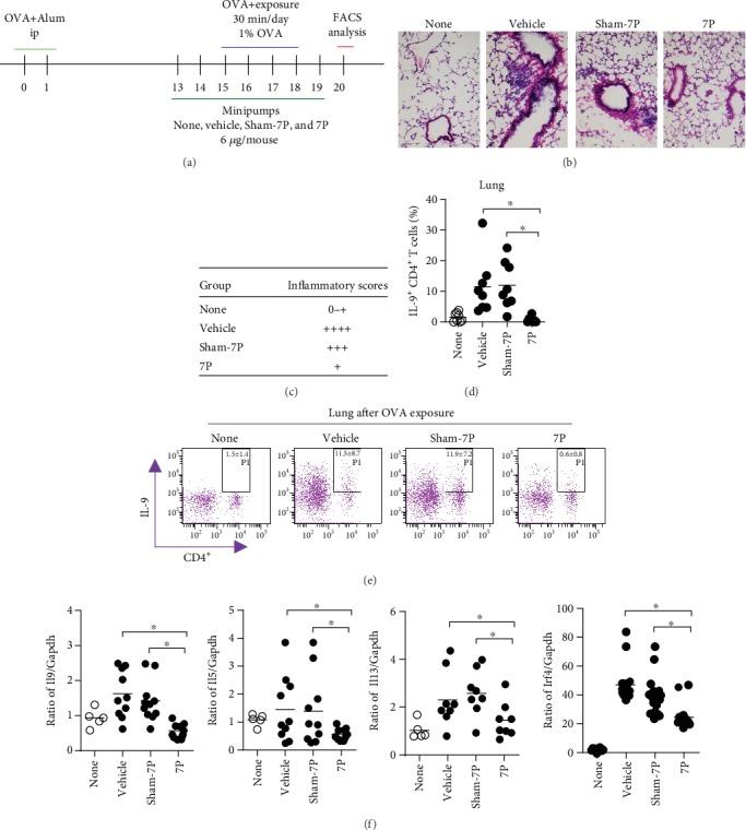 https://cdn.ncbi.nlm.nih.gov/pmc/blobs/428e/7109583/0a38388f0177/JIR2020-4184380.001.jpg