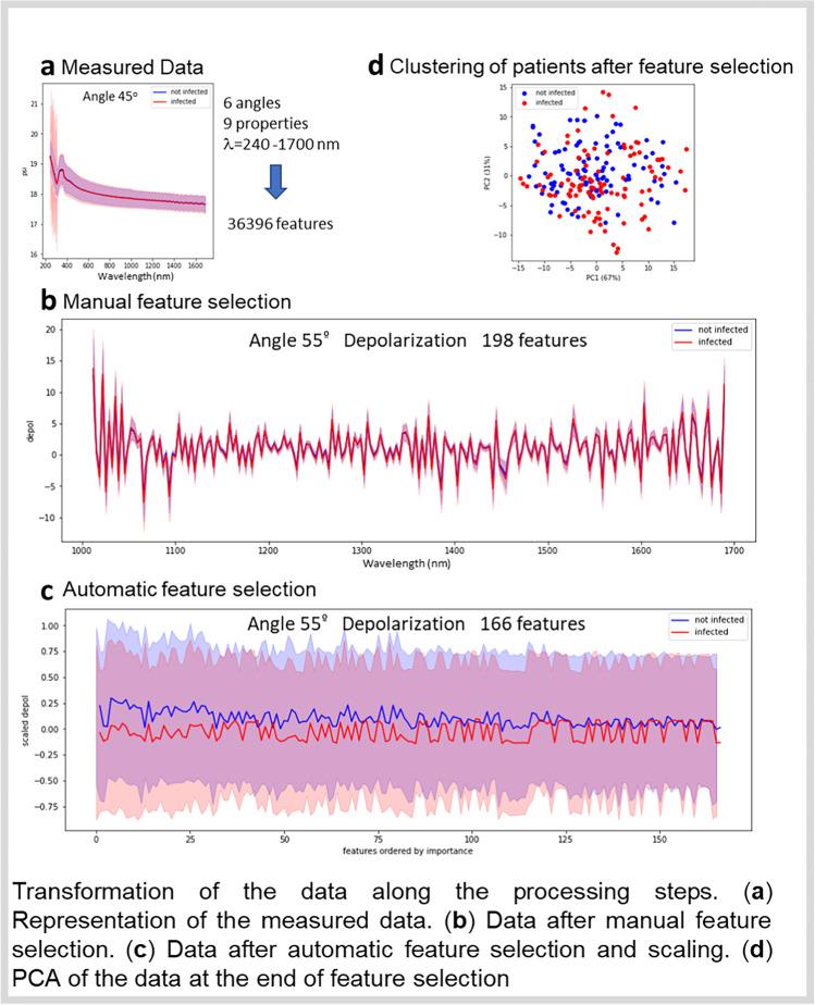 https://cdn.ncbi.nlm.nih.gov/pmc/blobs/428f/10235254/1dceb3f4a4f1/42770_2023_923_Fig2_HTML.jpg