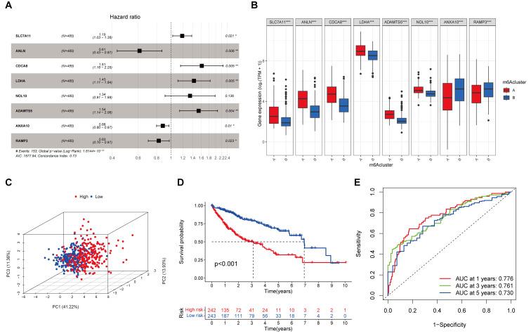 https://cdn.ncbi.nlm.nih.gov/pmc/blobs/4290/12249396/f00d7af4444b/cancers-17-02220-g002.jpg