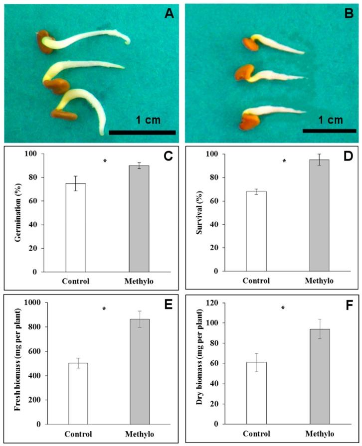 https://cdn.ncbi.nlm.nih.gov/pmc/blobs/4290/5796236/c44a137ed6e4/ijms-19-00291-g006.jpg