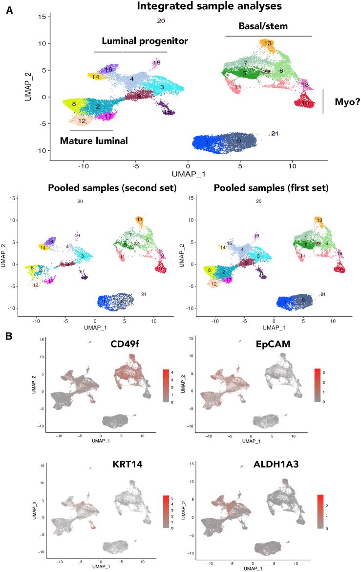 https://cdn.ncbi.nlm.nih.gov/pmc/blobs/4290/7974552/218988a1fbfe/gr4.jpg