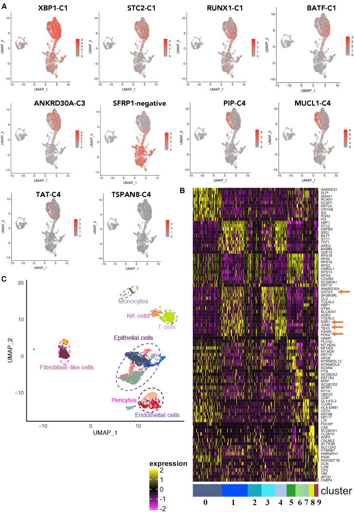 https://cdn.ncbi.nlm.nih.gov/pmc/blobs/4290/7974552/b764cf806f06/gr3.jpg