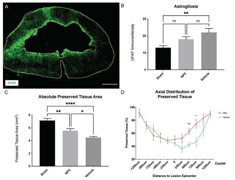 https://cdn.ncbi.nlm.nih.gov/pmc/blobs/4290/8658203/c53ee4b8317a/ijms-22-13106-g004.jpg