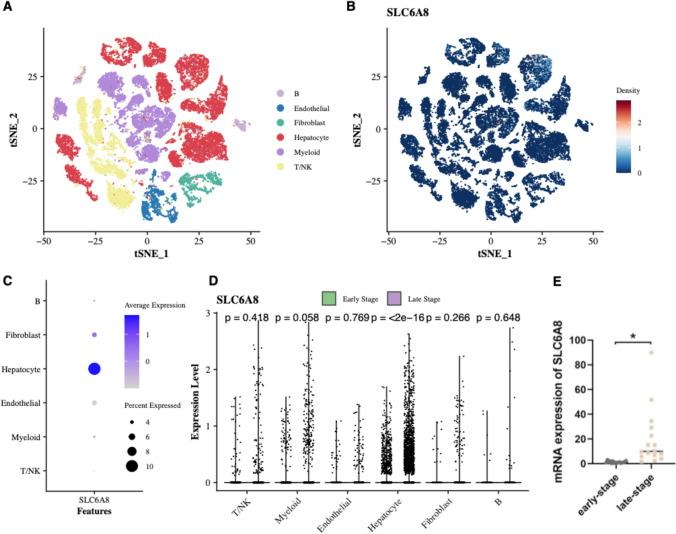 https://cdn.ncbi.nlm.nih.gov/pmc/blobs/4291/12003237/58a8450a9b9c/12672_2025_2351_Fig7_HTML.jpg