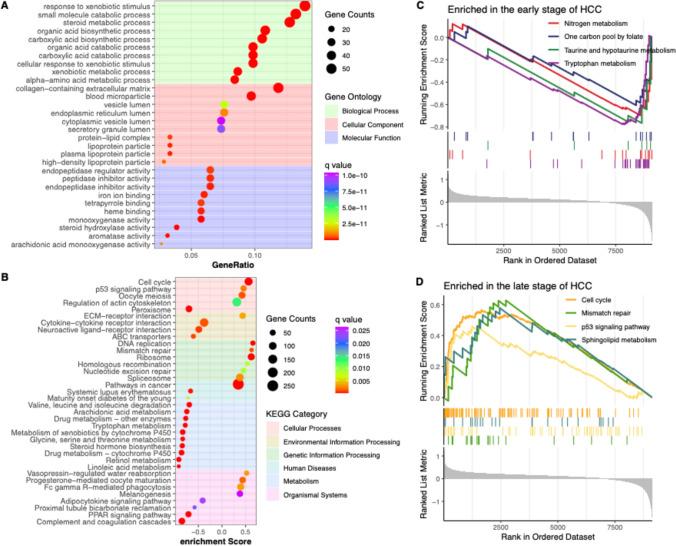 https://cdn.ncbi.nlm.nih.gov/pmc/blobs/4291/12003237/aac6a2ef26a9/12672_2025_2351_Fig3_HTML.jpg
