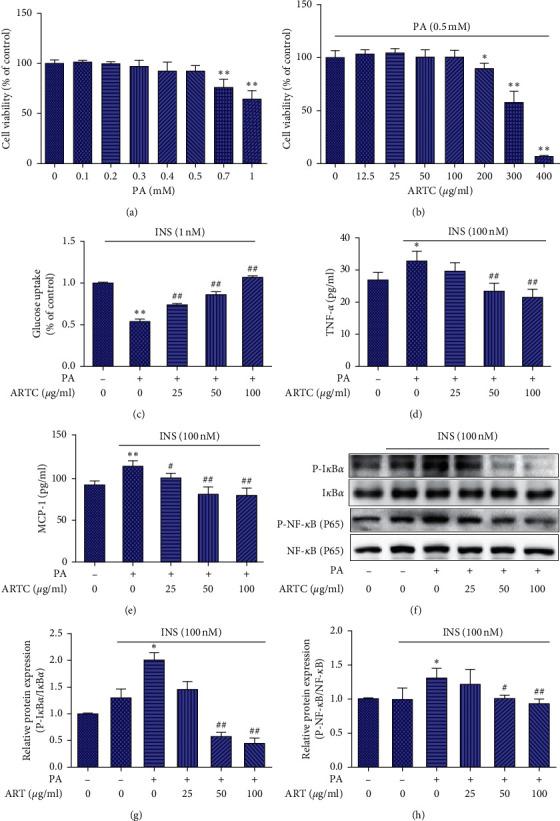 https://cdn.ncbi.nlm.nih.gov/pmc/blobs/4292/7875633/142c151a2b4a/ECAM2021-8857687.005.jpg