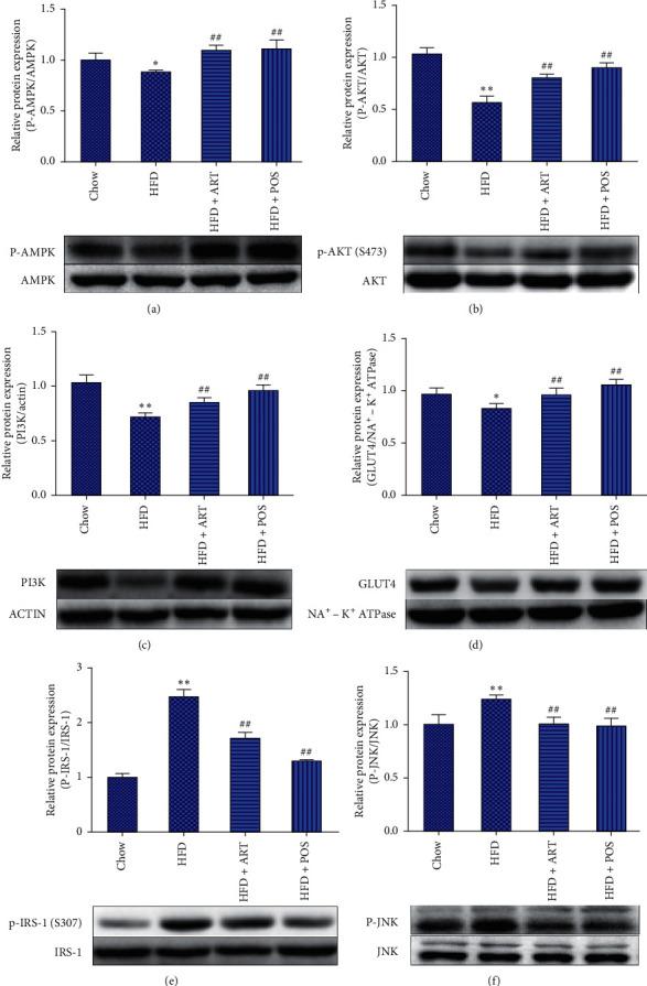 https://cdn.ncbi.nlm.nih.gov/pmc/blobs/4292/7875633/5c761cde6dc4/ECAM2021-8857687.004.jpg