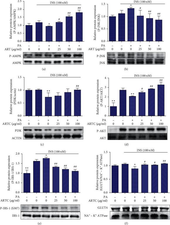 https://cdn.ncbi.nlm.nih.gov/pmc/blobs/4292/7875633/cb15eeb34aa2/ECAM2021-8857687.006.jpg