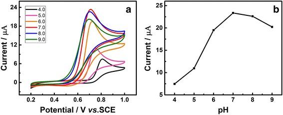 https://cdn.ncbi.nlm.nih.gov/pmc/blobs/4293/5509567/6429dc1302e6/11671_2017_2225_Fig5_HTML.jpg