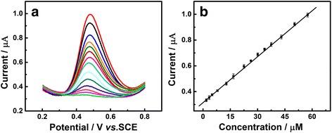 https://cdn.ncbi.nlm.nih.gov/pmc/blobs/4293/5509567/a2c0e5675683/11671_2017_2225_Fig7_HTML.jpg