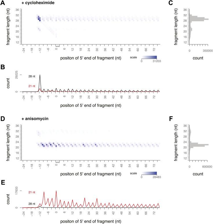https://cdn.ncbi.nlm.nih.gov/pmc/blobs/4294/4052883/0434fdf380b4/elife01257f003.jpg
