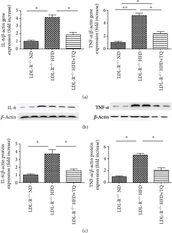 https://cdn.ncbi.nlm.nih.gov/pmc/blobs/4295/7644313/0cf7f5cfdbdb/BMRI2020-4878704.003.jpg