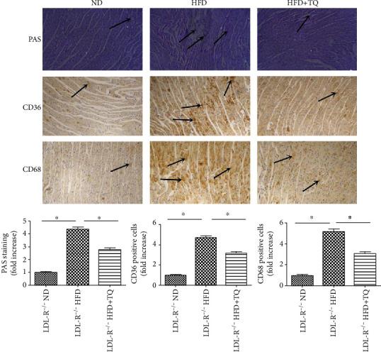 https://cdn.ncbi.nlm.nih.gov/pmc/blobs/4295/7644313/139e0488ca2c/BMRI2020-4878704.002.jpg