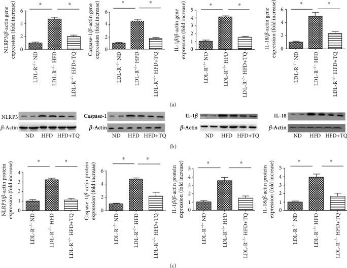 https://cdn.ncbi.nlm.nih.gov/pmc/blobs/4295/7644313/716d665516a7/BMRI2020-4878704.004.jpg