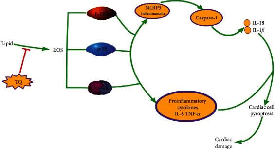 https://cdn.ncbi.nlm.nih.gov/pmc/blobs/4295/7644313/7484cc910c1f/BMRI2020-4878704.006.jpg